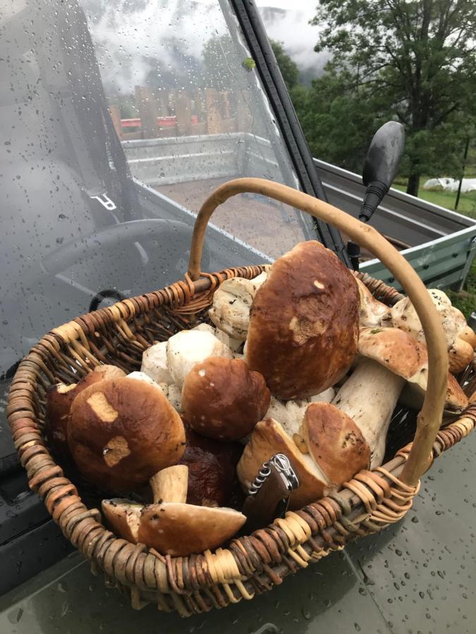 La Source D'En Haut Valcivieres Eksteriør bilde