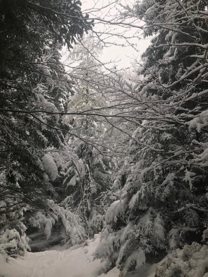 La Source D'En Haut Valcivieres Eksteriør bilde